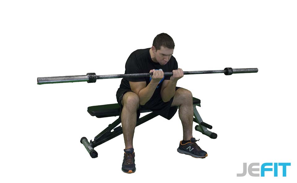 Barbell Concentration Curl (Close Grip)
