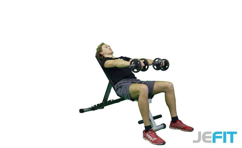 Dumbbell Front Incline Raise