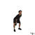 One Arm Kettlebell Swing exercise demonstration