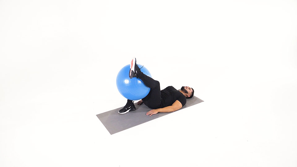 Stability Ball Hamstring Stretch  exercise