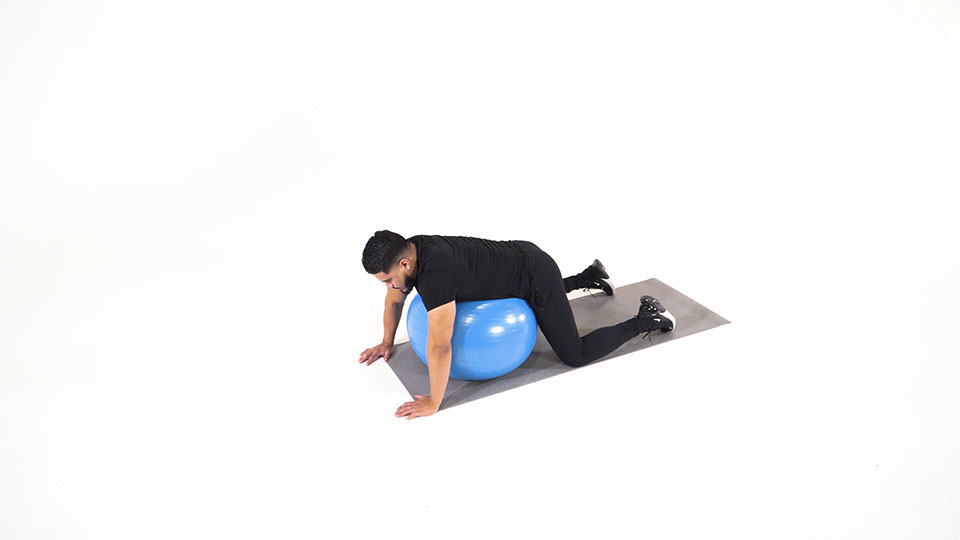 Stability Ball Low Back Stretch