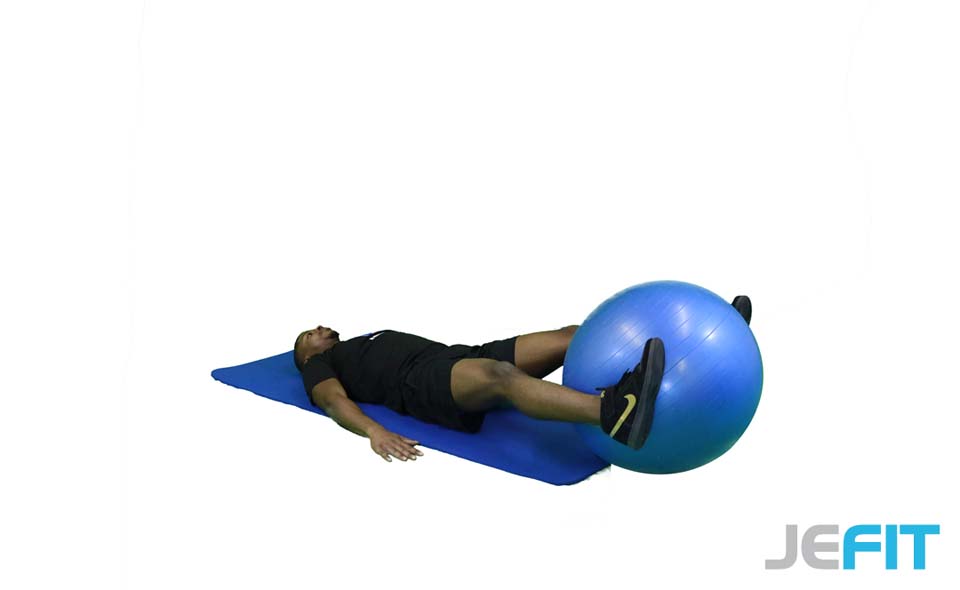 Stability Ball Leg Lift