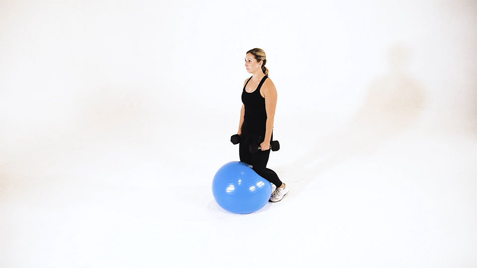 Dumbbell Kneeling Lateral Raise (Stability Ball)