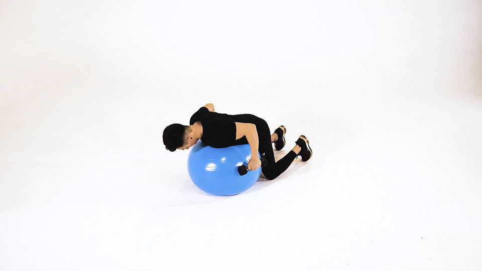 Stability Ball Dumbbell Kickback