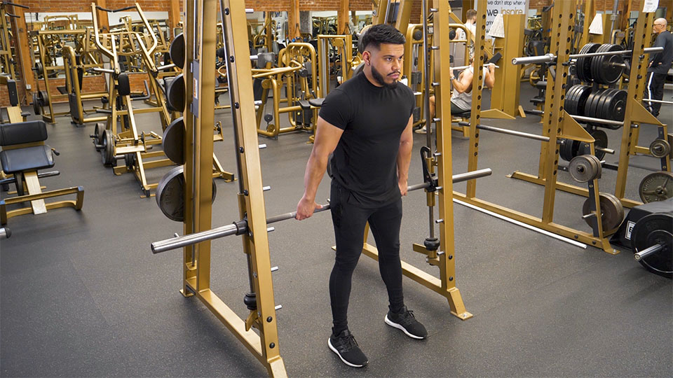 Smith Machine Hack Squat exercise