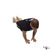 Close Triceps Pushup exercise demonstration