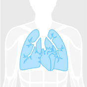 lungs figure highlighted in blue