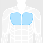 chest figure highlighted in blue