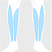 Lower Legs figure highlighted in blue